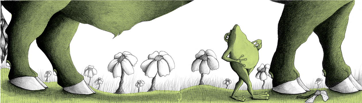 grenouille